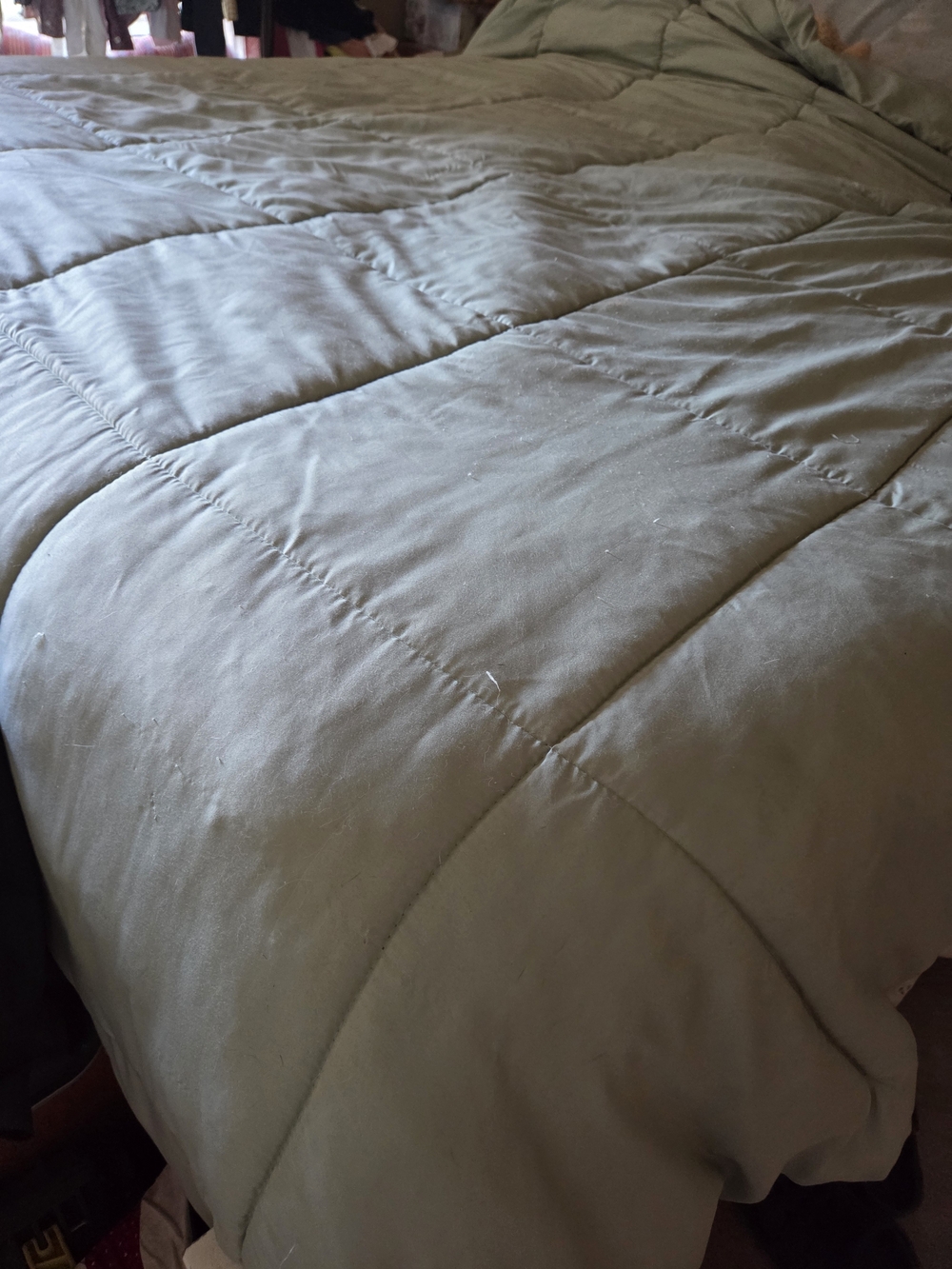 Source Unknown Quilted Comforter in Olive Green